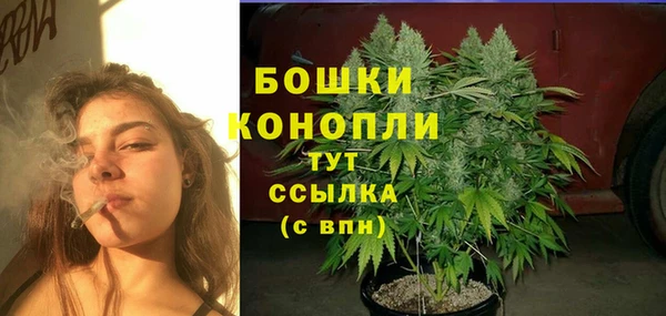 экстази Богданович